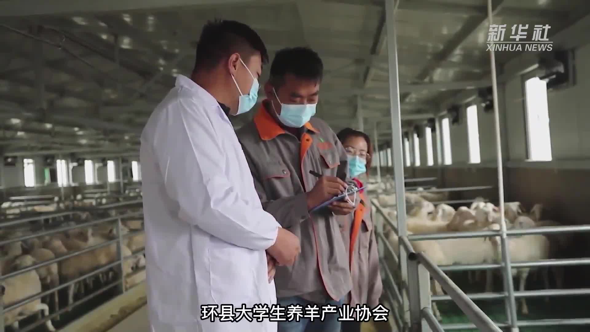 我的就业故事｜姬永锋：做新时代带领乡亲致富的“领头羊”