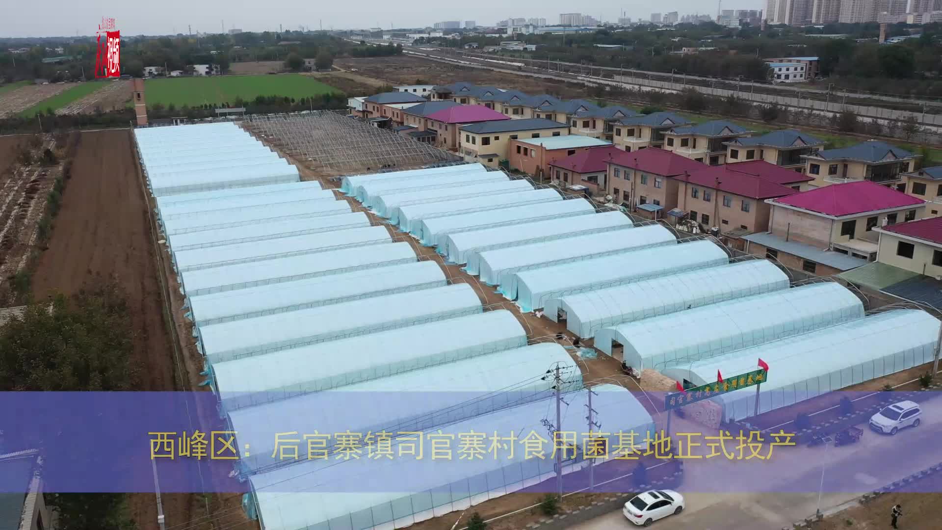 【庆阳视频】西峰区：后官寨镇司官寨村食用菌基地正式投产