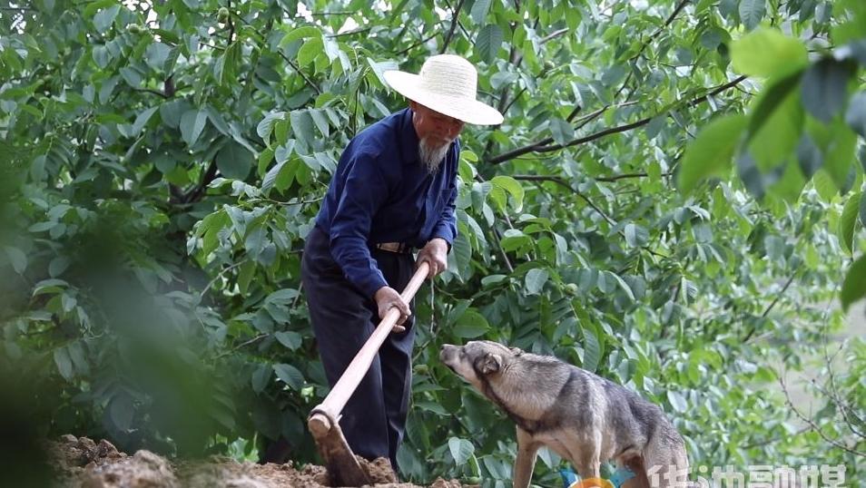 杜克宽：荒山育林三十载 植此青绿终无悔