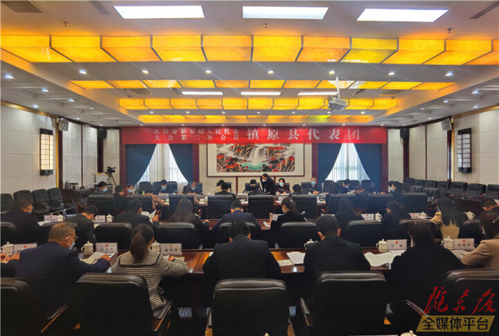 【聚焦两会·图集】庆阳市人大代表分团审议市人大常委会和市法检两院工作报告