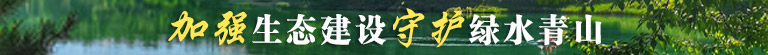 加强生态建设  守护绿水青山
