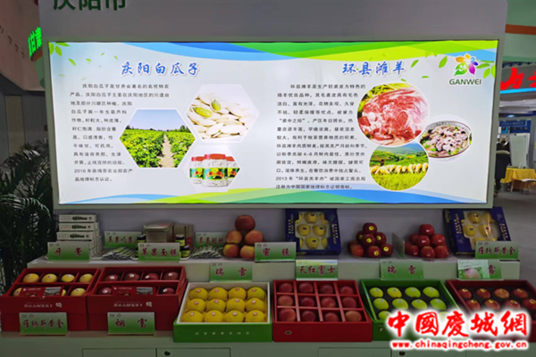 庆城县代表庆阳市参加第十九届中国国际农产品交易会