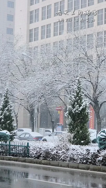 【微视频】春天里的瑞雪
