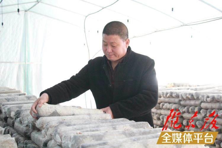 西峰区后官寨镇司官寨村食用菌基地，工作人员在整理菌棒。本报记者 南力 摄
