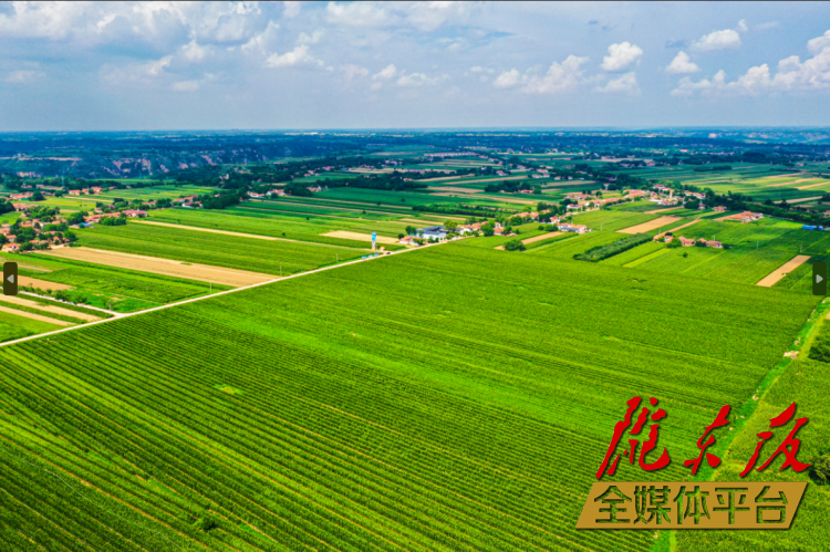 发展三元双向循环模式 构建现代农业新格局——庆阳市着力推进农业农村高质量发展综述