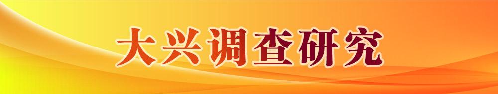 大兴调查研究