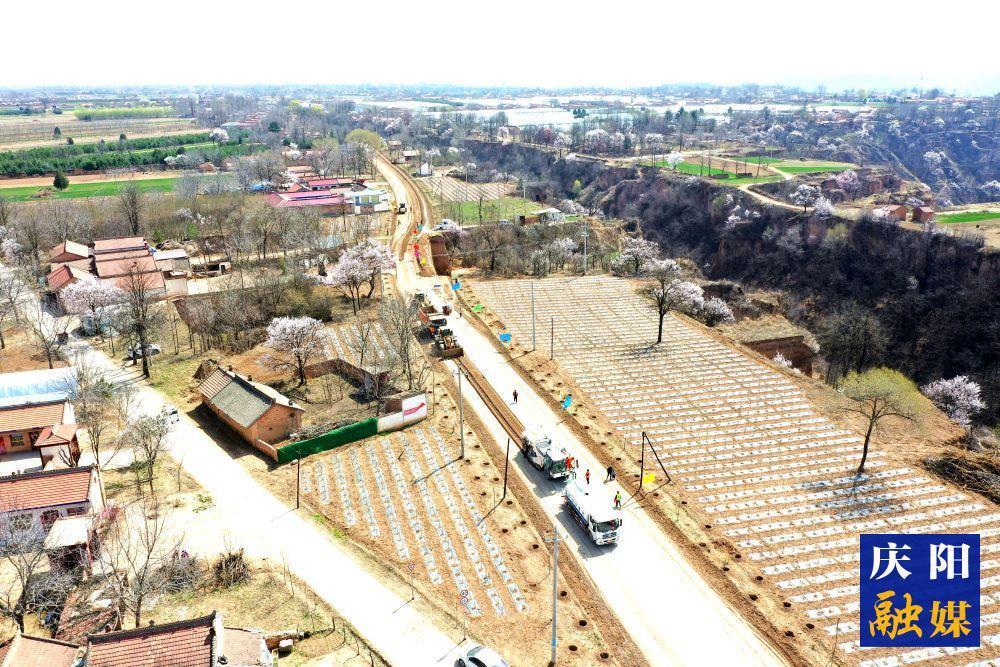 春日里的交通建设“进行曲”——宁县推进S504古城至石鼓段公路改建项目见闻
