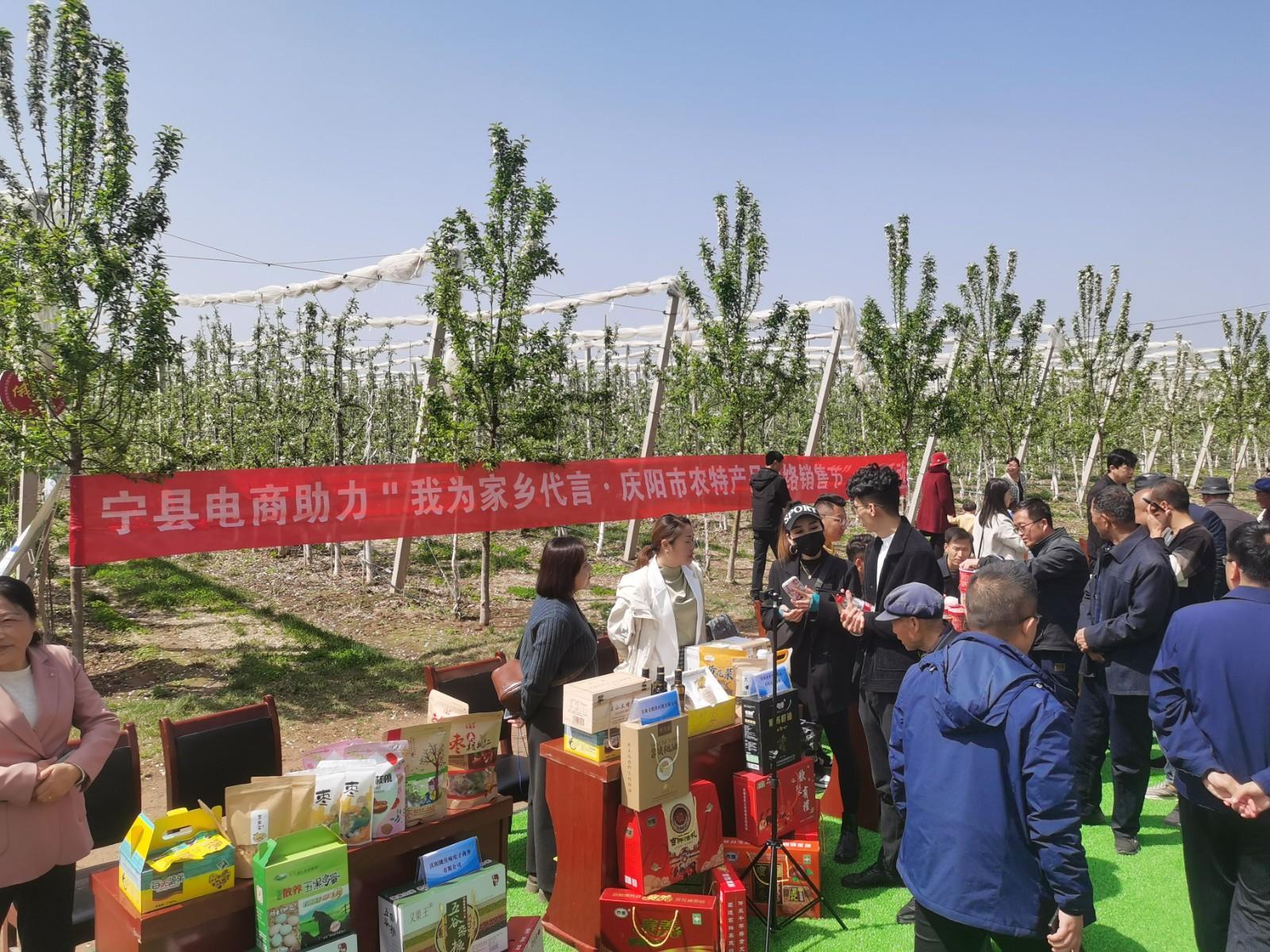 “我为家乡代言·庆阳市农特产品网络销售节”直播活动在宁县举办