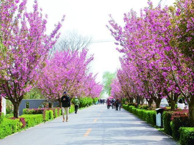 什社乡李岭村 农文旅融合打造乡村振兴“样板村”