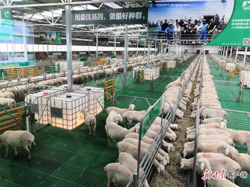 微信图片_20230605101130.jpg