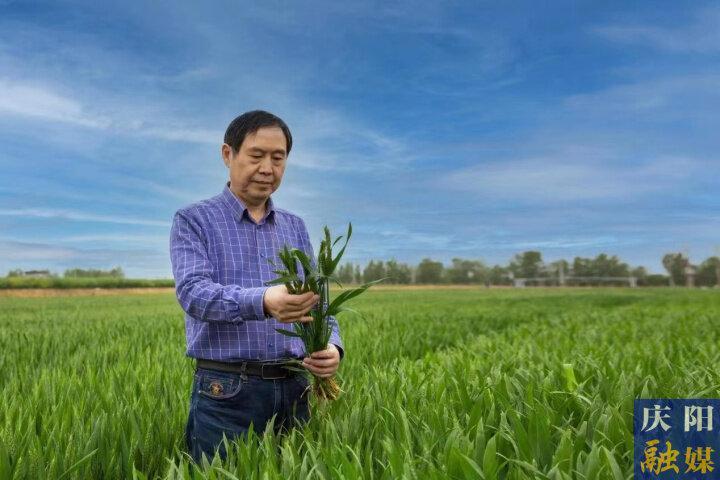 “海智计划”助推庆阳市吸引科技人才