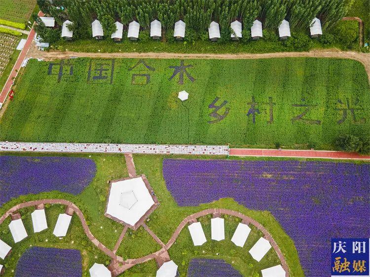 一点庆阳 | 合水散记（高亚平）