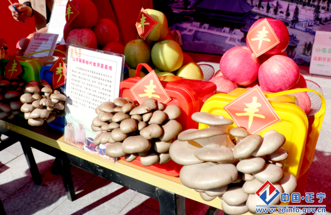 正宁县举行2023年重阳节农文旅推介农产品展销展示活动
