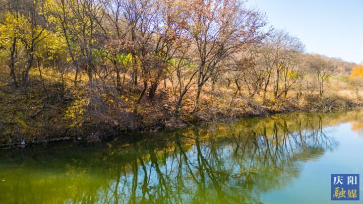 【视觉庆阳】华池县东华池林场：青山秀奇  苗木连片