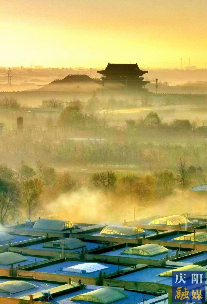 【大美庆阳】西峰城区冬日雾景