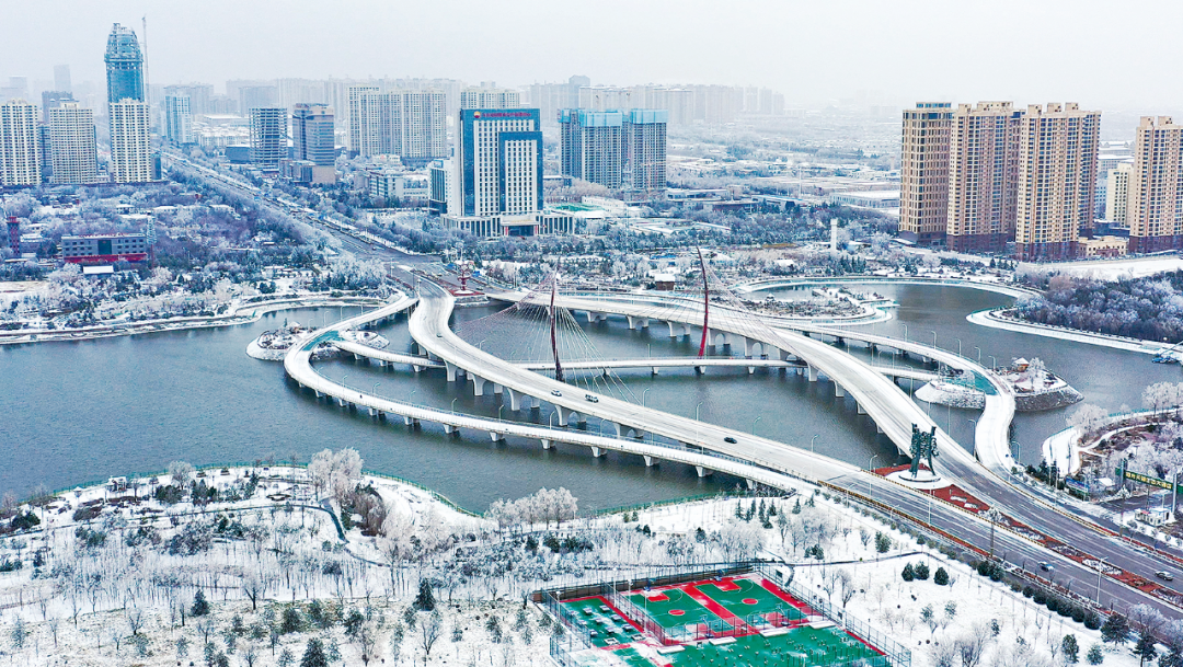 庆阳下雪了~这么好看的雪景，当然要分享给你！