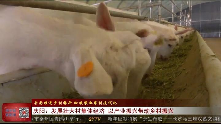 《庆阳新闻》2023年12月30日