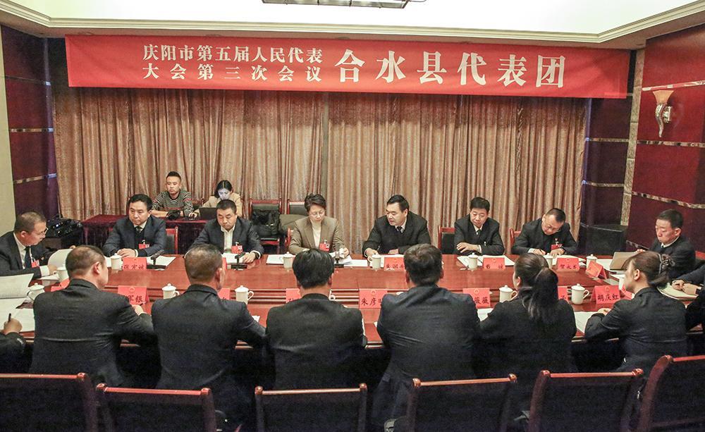 庆阳市人大代表分团审议市人大常委会和市法检两院工作报告
