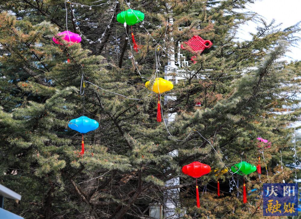 【摄影报道】春节临近，西峰区主要街道陆续悬挂装饰灯笼