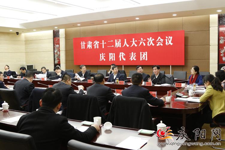 庆阳代表团继续审议省政府工作报告
