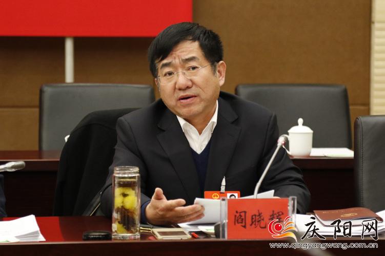 庆阳代表团继续审议省政府工作报告