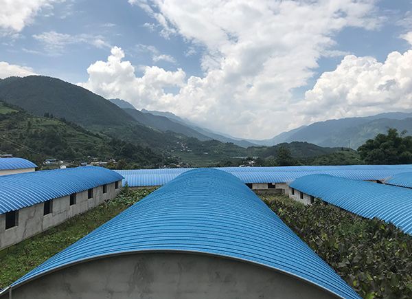 高山上办特色养猪场 双创助力云南老窝精准扶贫