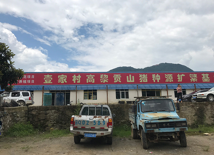 高山上办特色养猪场 双创助力云南老窝精准扶贫