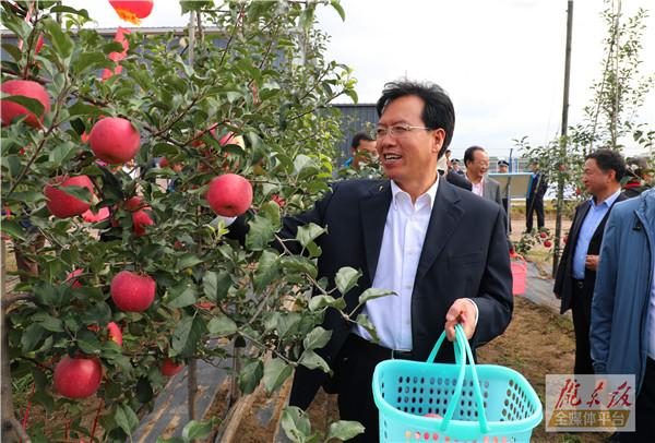 第十六届（2019）中国羊业发展大会暨庆阳农耕文化节苹果开园采摘活动举行