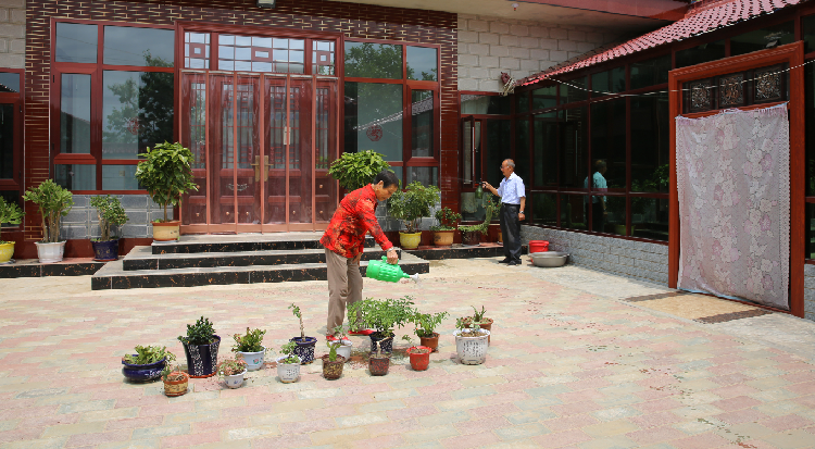 宁县焦村镇半个城村村民干净整洁的庭院