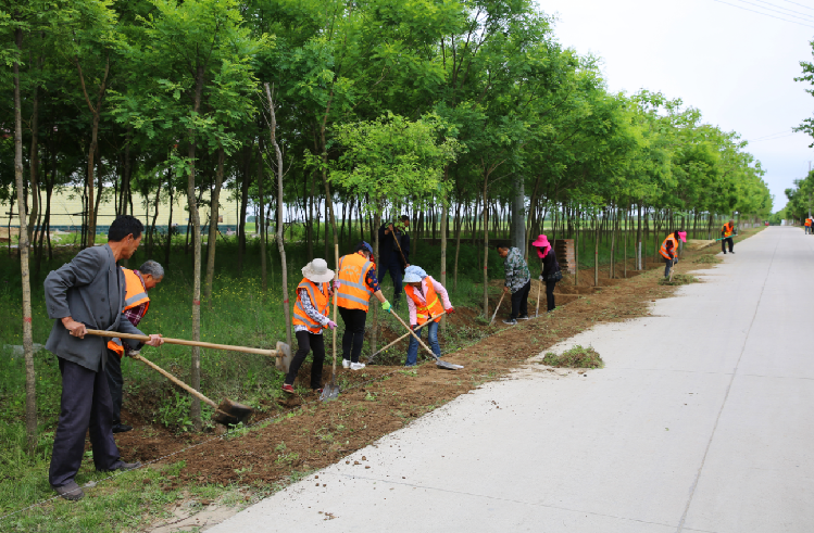 宁县焦村镇半个城村群众在路边修建水沟花畦