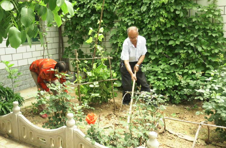 宁县焦村镇半个城村村民孙天良在庭院里种花