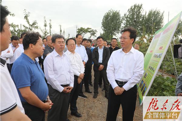 贠建民卢小亨率团在庆城县观摩肉羊和苹果产业发展情况