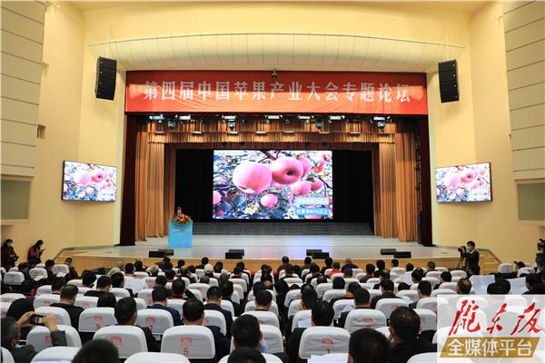第四届中国苹果产业大会专题论坛举行