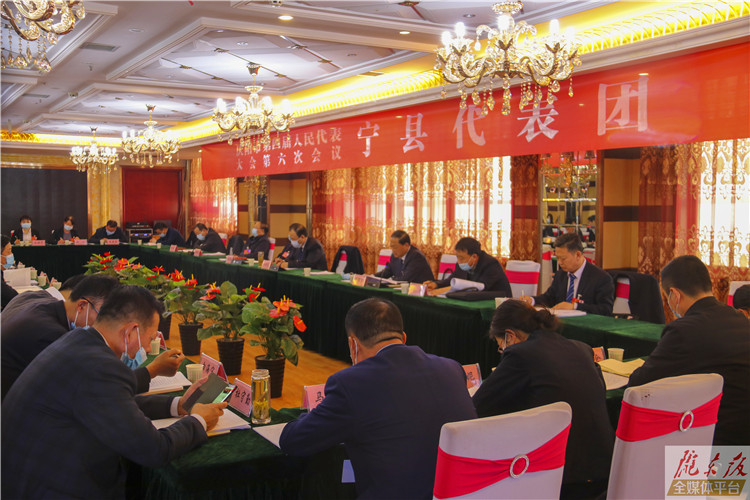 【图说两会】人大代表分团审议 建言献策谋发展-摄友风采 庆阳网-报