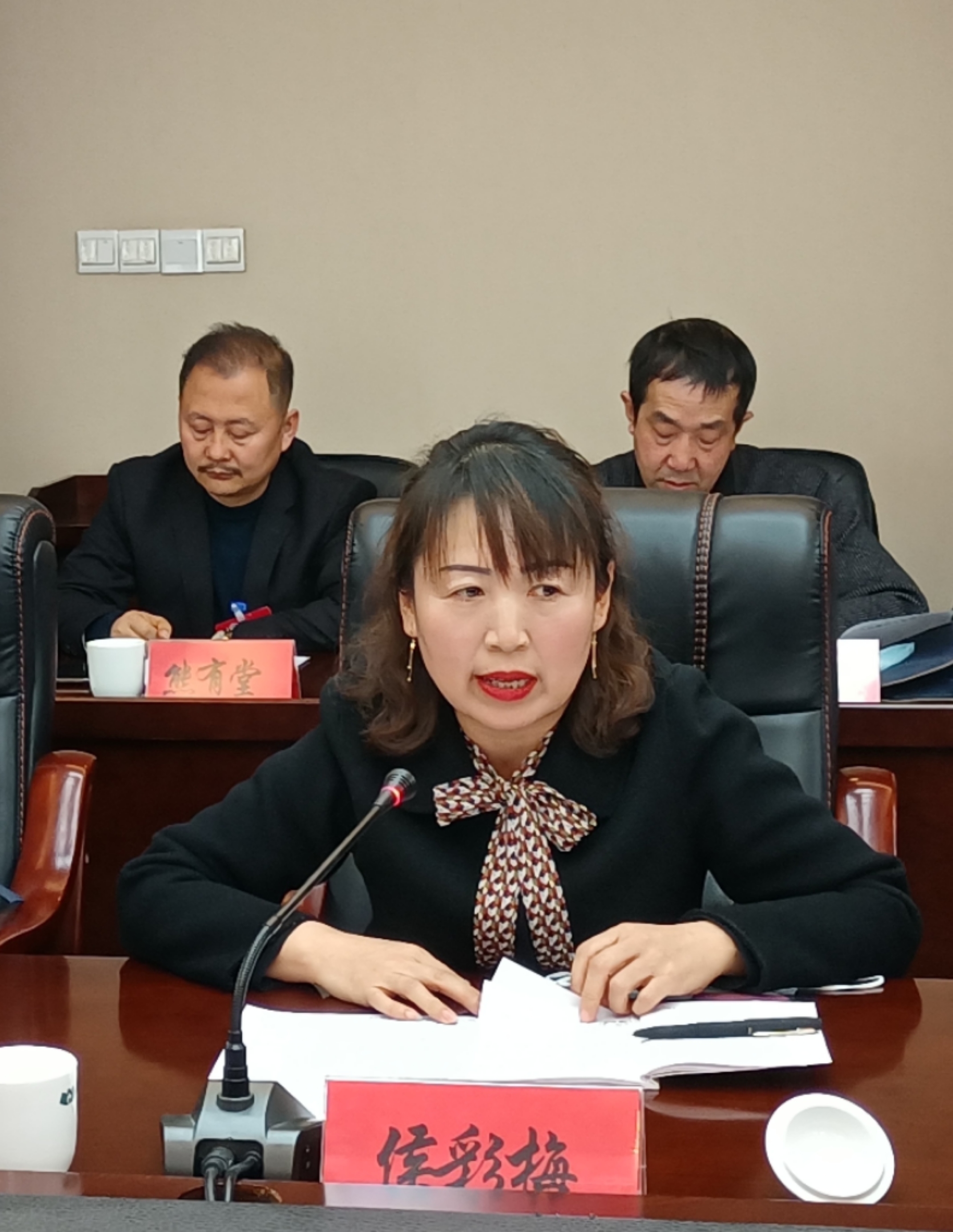 侯彩梅委员在讨论发言时就规范农村中小学体育教学提出了建议。
