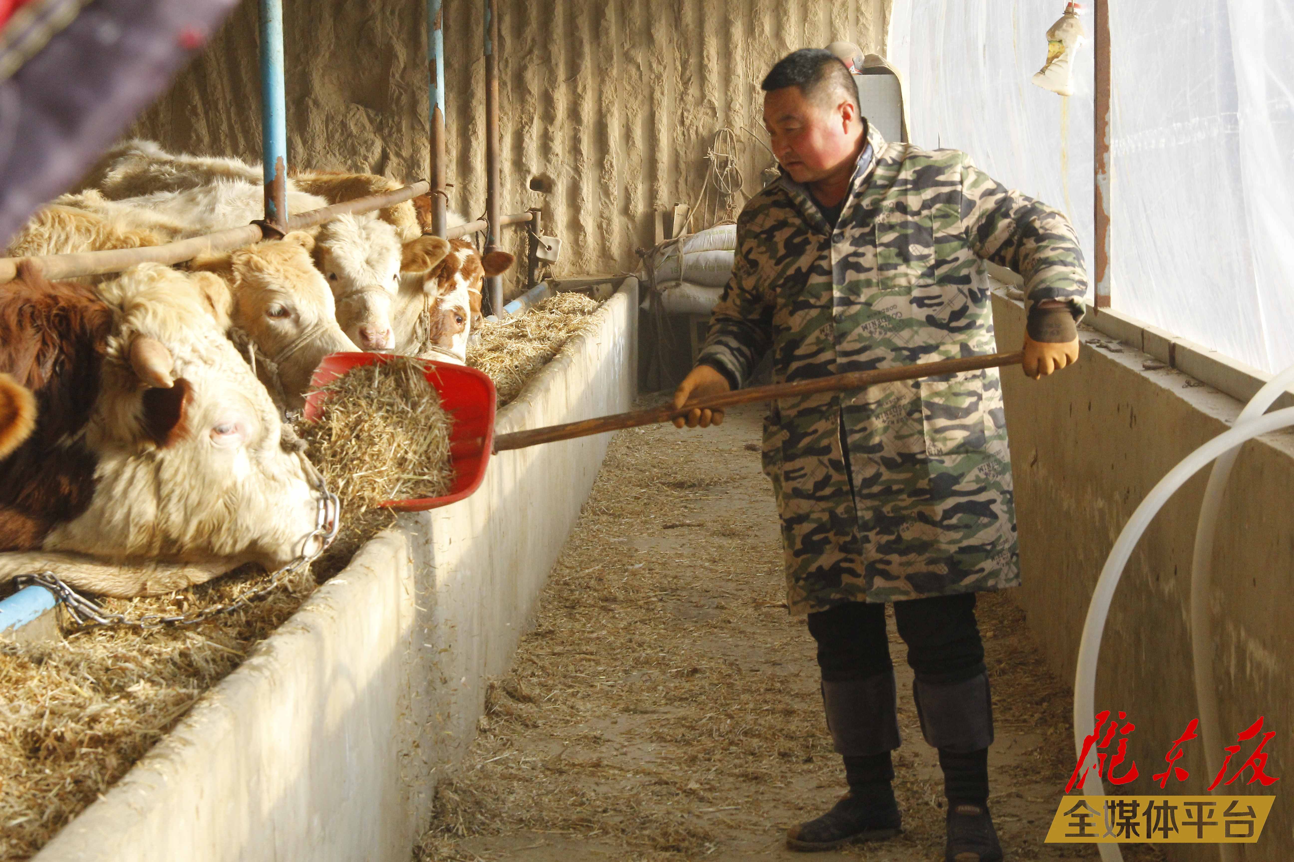 【新春走基层】车载贤 越奋斗越有劲