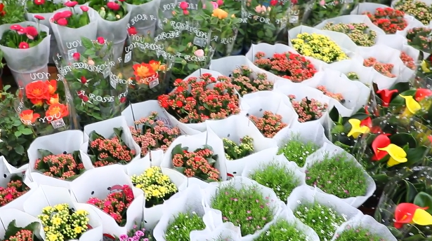 【第一眼】花卉市场销售逐渐升温