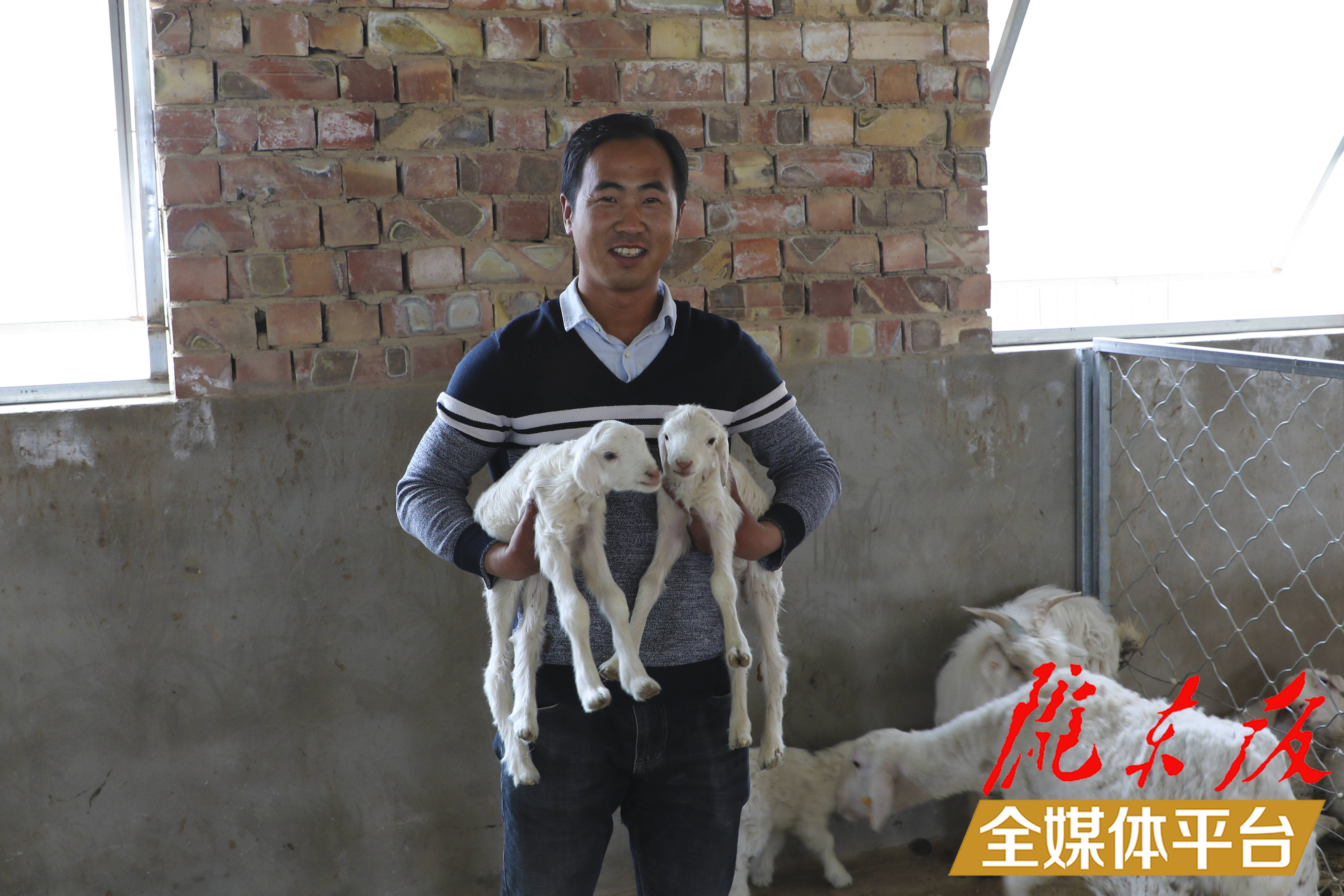 梁让红抱着前不久产下的小羊羔。实习生王华摄