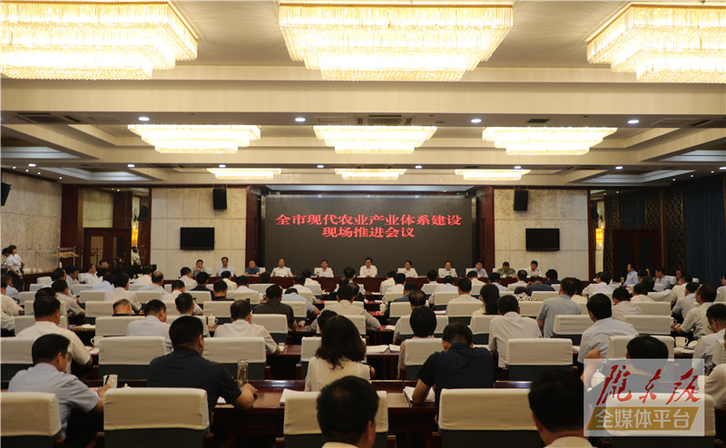 庆阳市现代农业产业体系建设现场推进会议召开