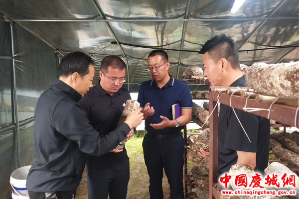 天津市农科院专家深入庆城县考察开展科技合作交流和后续技术服务对接工作