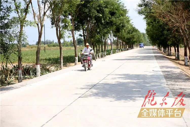 【陇东报视频海报】“要致富先修路”庆阳市公路总里程达16398公里