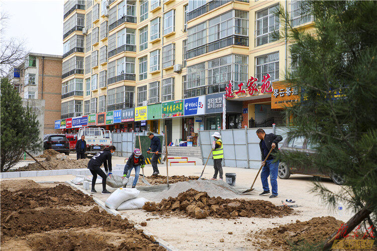 【摄影报道】西峰区：城区绿化“增量提质”，打造绿色宜居家园