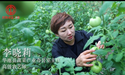 高级农艺师：李晓莉
