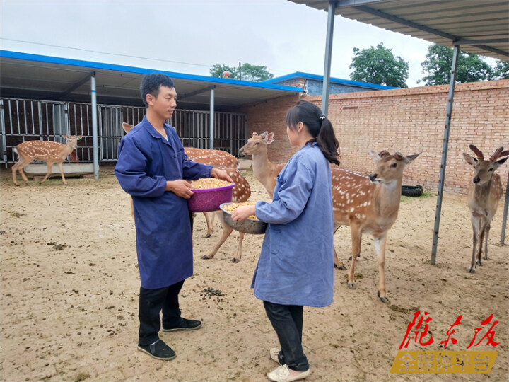 路孝成：闯出一条致富路 带着乡亲一起富