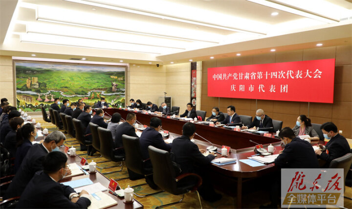 林铎在庆阳市代表团讨论省第十四次党代会报告