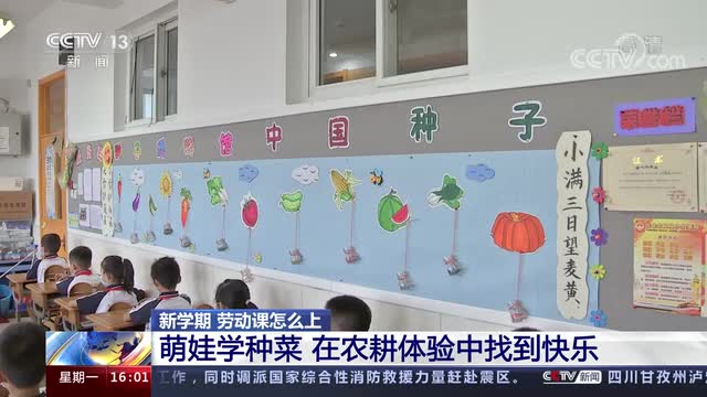 新学期，劳动课怎么上？央视《新闻直播间》关注北师大庆阳附校农耕体验课