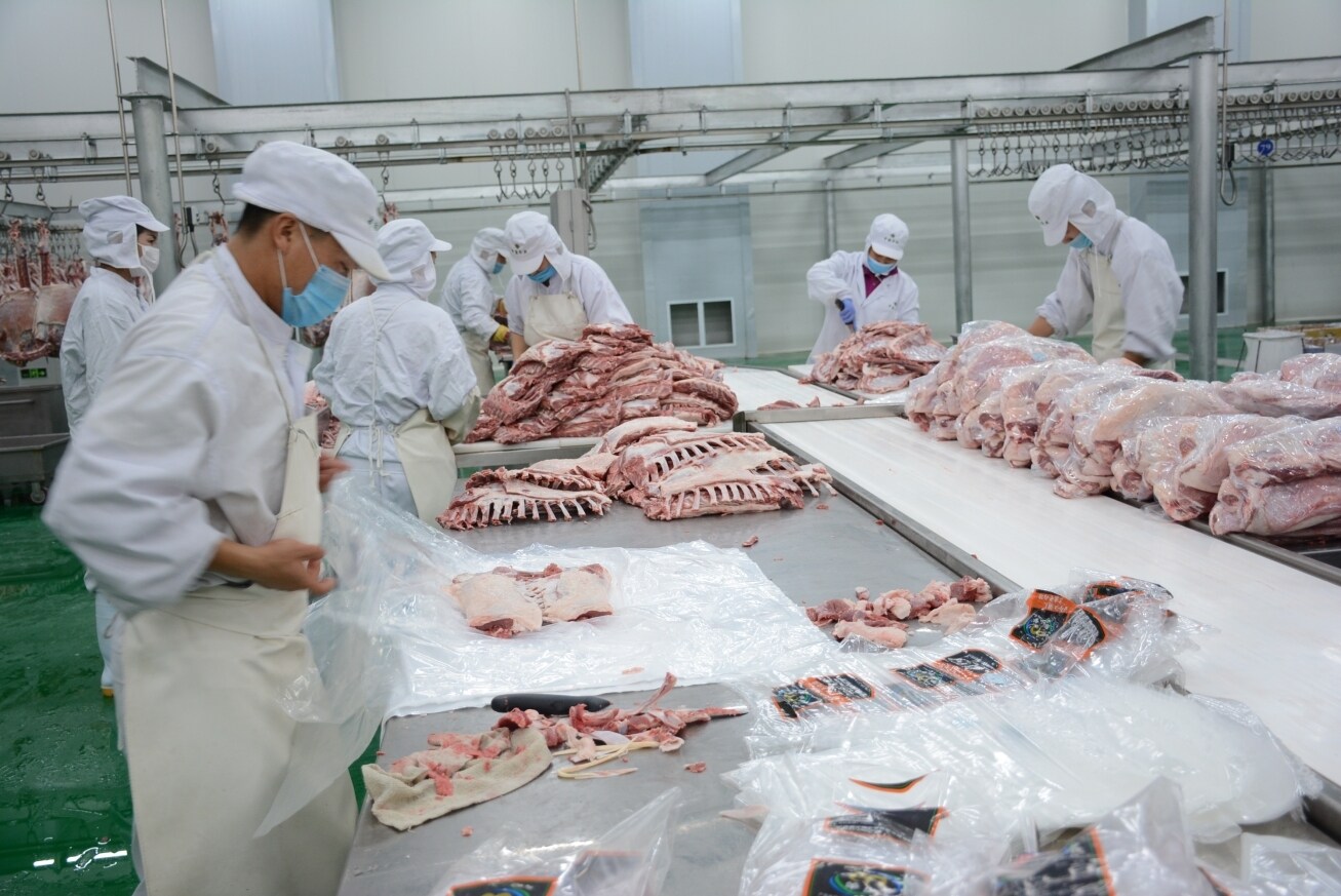 环县羊肉屠宰加工生产线。陇东报全媒体记者 李文 摄