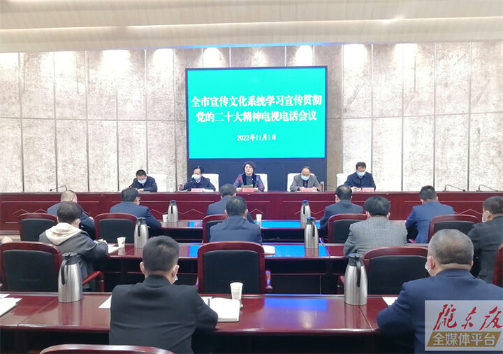 庆阳市宣传文化系统学习宣传贯彻党的二十大精神电视电话会议召开