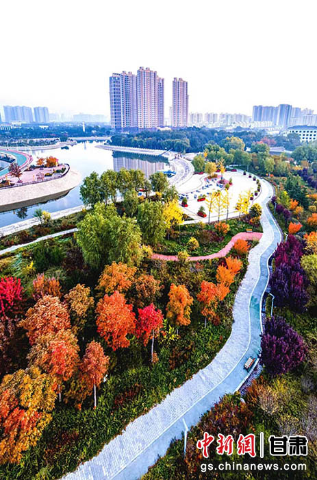 秋日的庆阳市城市海绵运动绿地色彩斑斓。张应君 摄