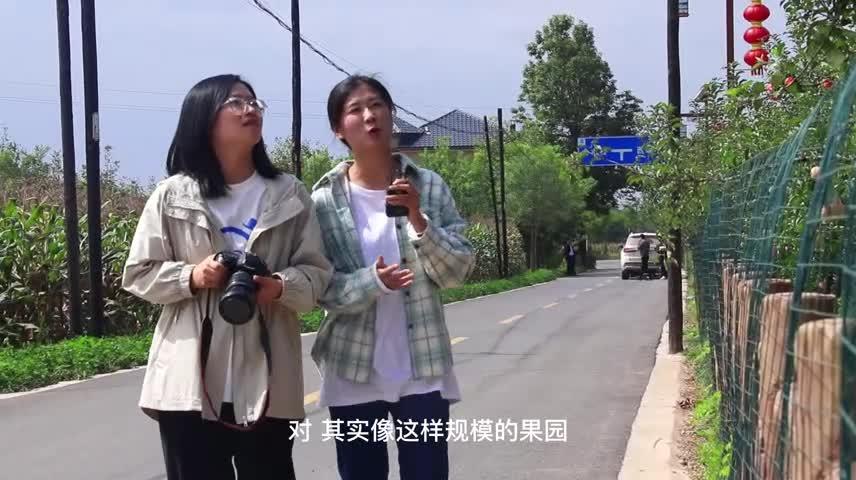 李岭村：领跑幸福